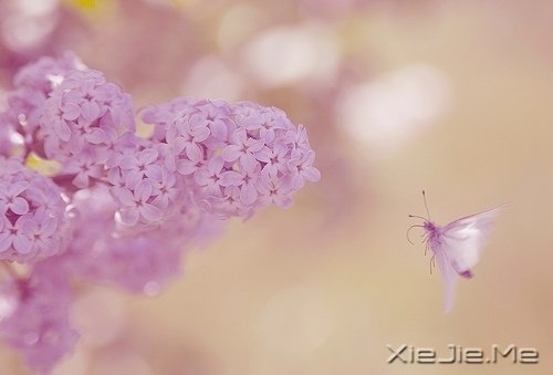 找一个理由,去否认忧伤 (10)