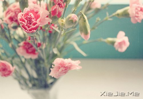 晚安心语:遇见,就是幸福 (3)
