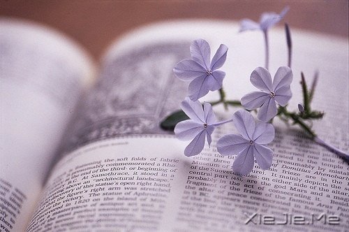 晚安心语:勇敢生活,微笑面对 (8)