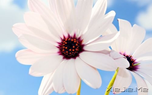 �簲������������������������������ (8)